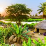 Urlaub Gambia • Kotu (Ratgeber) Urlaub Gambia • Kotu (Sehenswürdigkeiten)